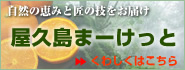 屋久島まーけっと～自然の恵みと匠の技をお届け